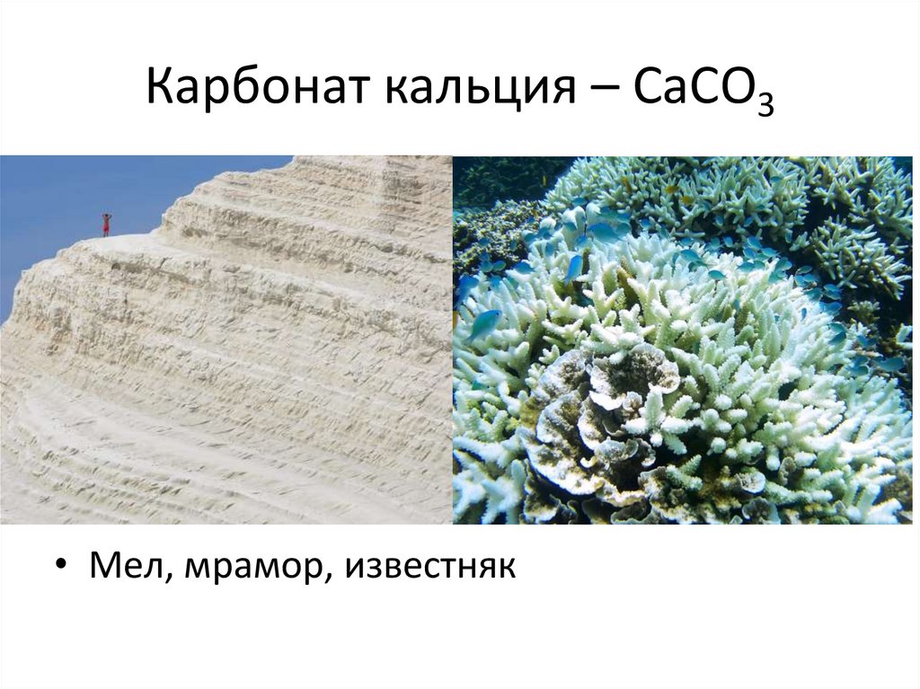 Карбонат кальция – СаСО3