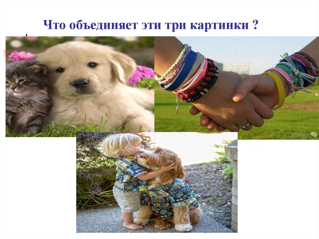 Что объединяет 4 фото