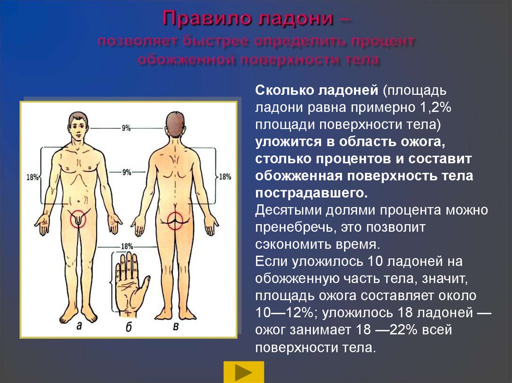 Абсолютная поверхность тела