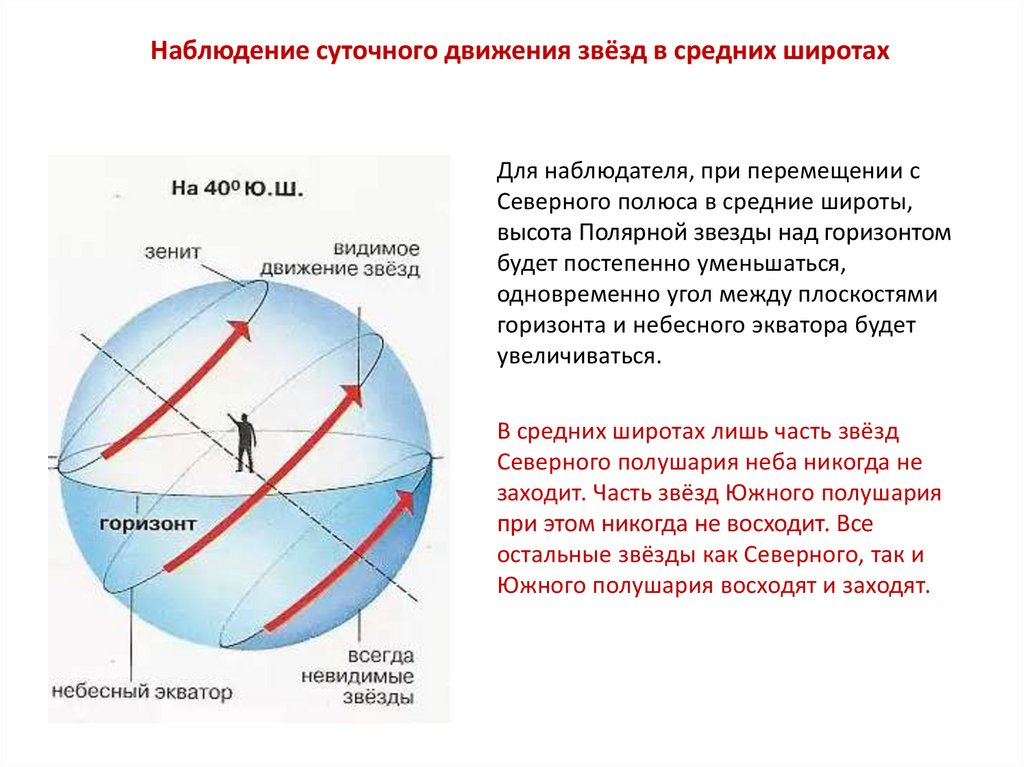 На рисунке изображено суточное движение светил на полюсе земли подпишите z