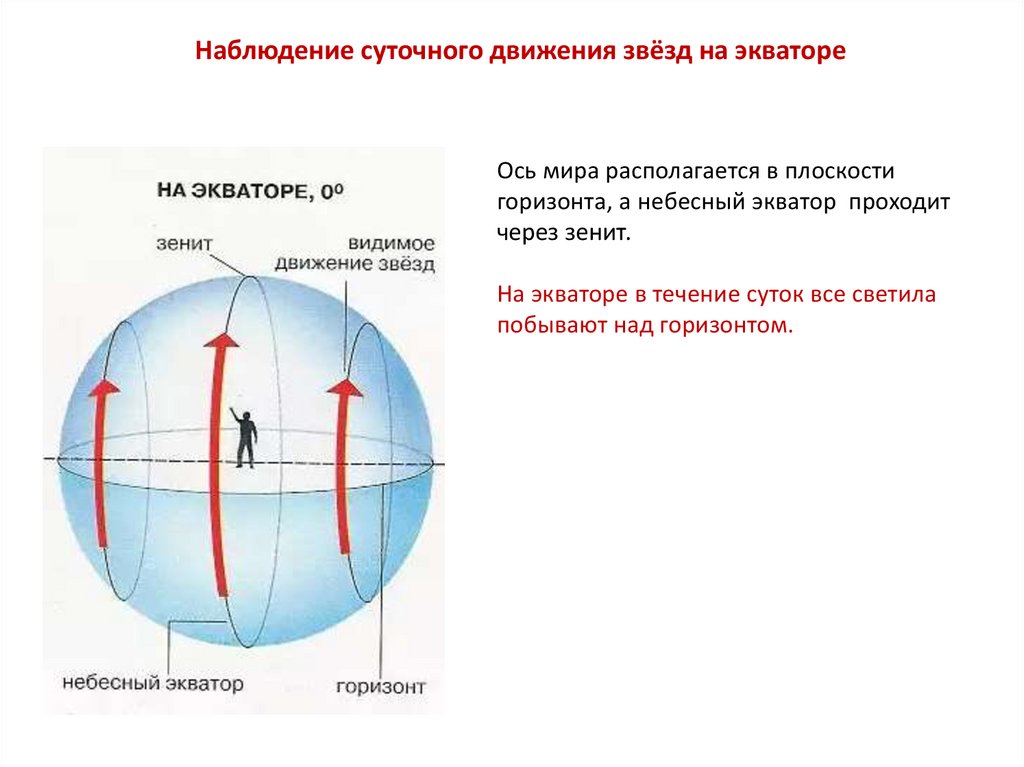 На рисунке изображено суточное движение светил на полюсе земли подпишите где находится точка надира