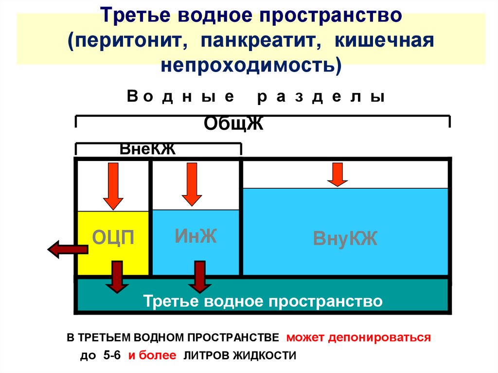 Жидкость в пространстве. Третье водное пространство. Водно электролитные пространства. Физиология третье водное пространство. Секвестрация жидкости в третье пространство.