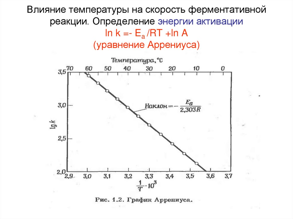 Влияние температуры на реакцию