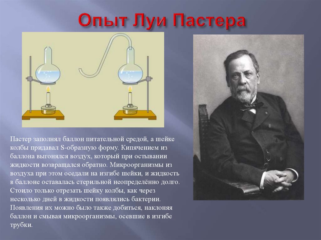 Пастера запись. Эксперимент Луи Пастера. Луи Пастер и его опыт. Луи Пастер опыт с бульоном. Луи Пастер опыт самозарождения.