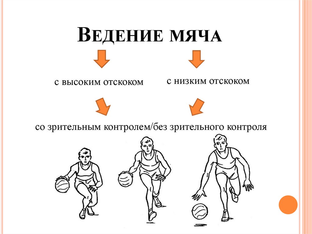 Правила ведения в баскетболе. Техника ведения баскетбольного мяча. Ведение с высоким отскоком мяча в баскетболе. Положение игрока при ведении мяча в баскетболе. Ведение с низким отскоком мяча.