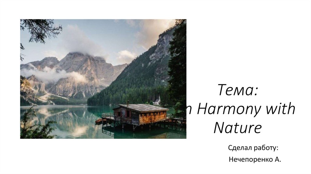 Презентация на тему in Harmony with nature. In Harmony with nature презентация 10 класс. In Harmony with nature презентация 10 класс Wildlife. Project in Harmony with nature.