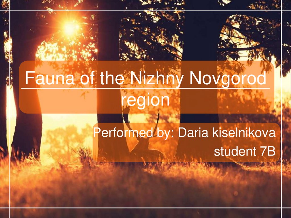 Fauna of the Nizhny Novgorod region