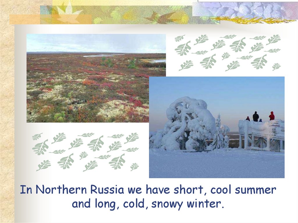 In Northern Russia we have short, cool summer and long, cold, snowy winter.