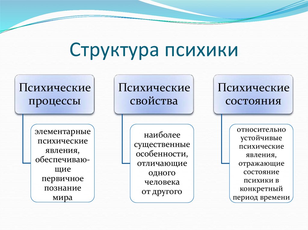 Структура психического состояния. Структура психики в психологии.