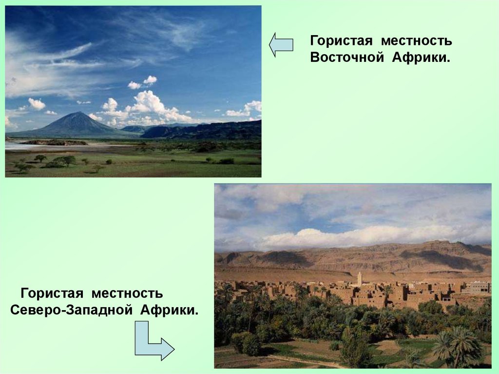 Наибольшая абсолютная высота восточно африканского плоскогорья. Гористая местность Восточной Африки. Восточно-африканское плоскогорье рельеф. Восточно-африканское плоскогорье полезные ископаемые. Восточно африканское плоскогорье климат.