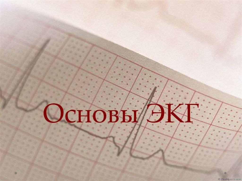 Основы экг презентация