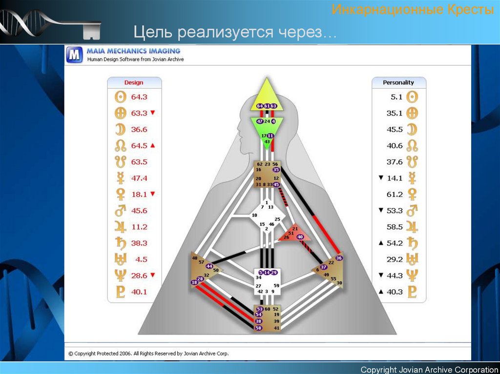 Дизайн человека по дате рождения. Алокананд Диаз бодиграф. Бодиграф Алокананд Диаз дель Рио. Контуры в дизайне человека. Алок дизайн человека.