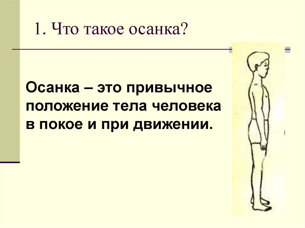 Минутка здоровья осанка основа красивой походки в пришкольном лагере презентация