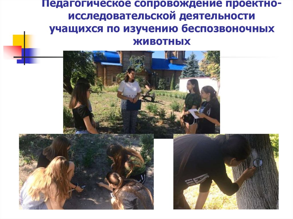 Педагогическое сопровождение проектно-исследовательской деятельности учащихся по изучению беспозвоночных животных