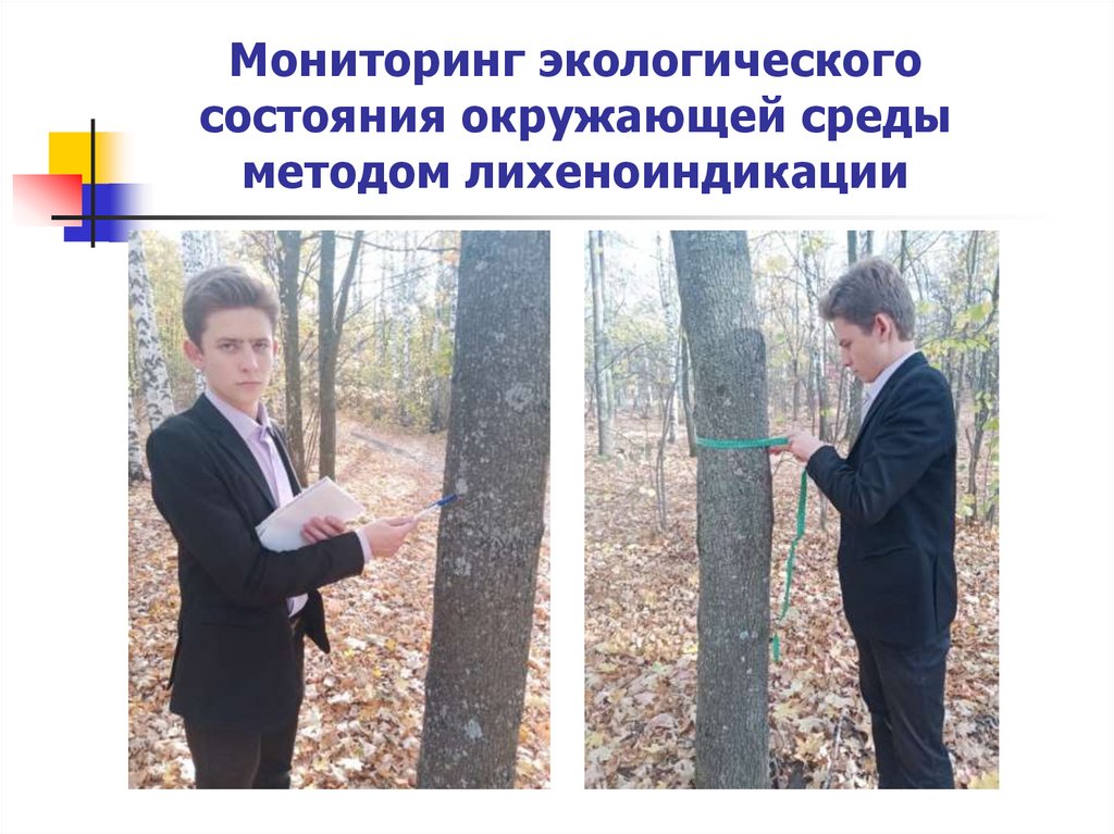 Мониторинг экологического состояния окружающей среды методом лихеноиндикации