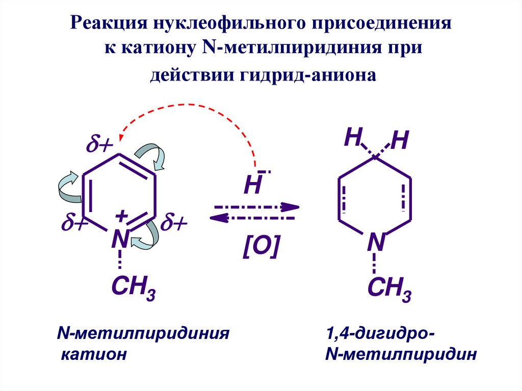 Реакция нуклеофильного присоединения к катиону N-метилпиридиния при действии гидрид-аниона