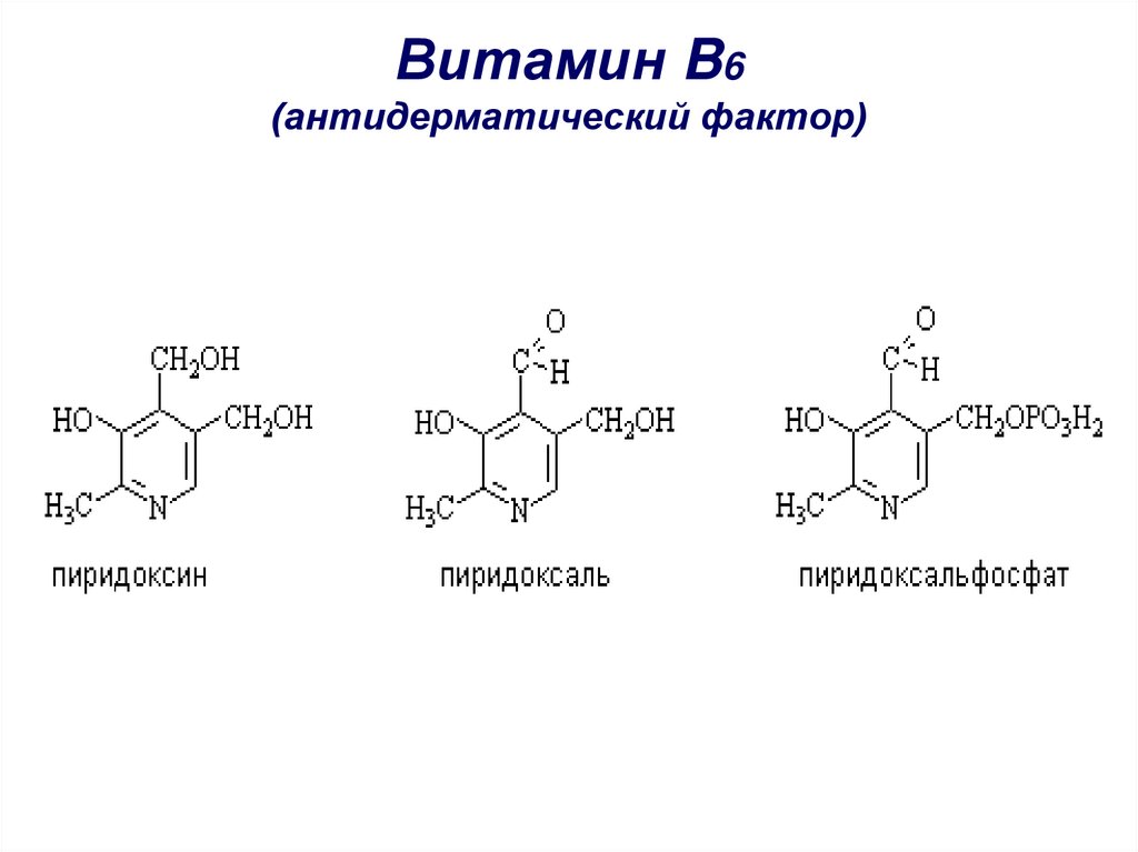 Витамин B6 (антидерматический фактор)