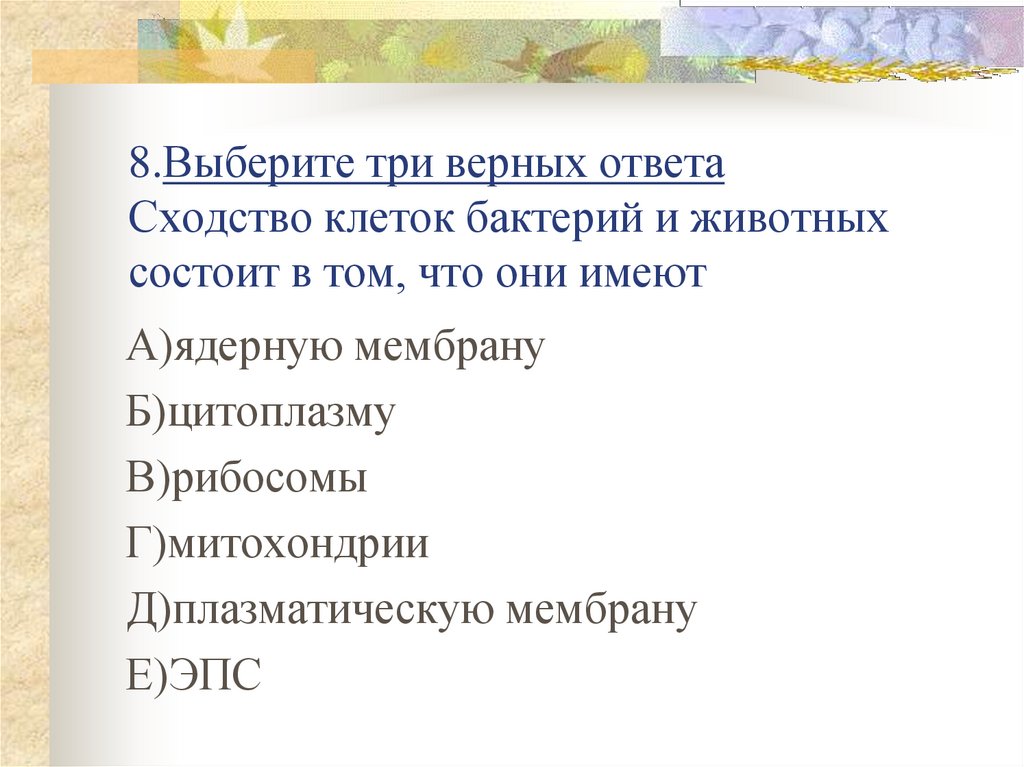 Особенности клеточного ответа. Сходство клеток животных и бактерий состоит. Сходство клеток животных и бактерий состоит в том что имеют. Сходство клеток бактерий и растений состоит в том что они имеют. Сходство клеток растений и бактерий заключается в том что они имеют.