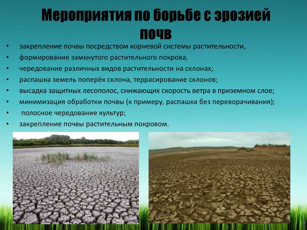 Ежегодно в россии образуется. Борьба с эрозией почв. Мероприятия по борьбе с эрозией почв. Защита почвы. Меры по защите почв от эрозии.
