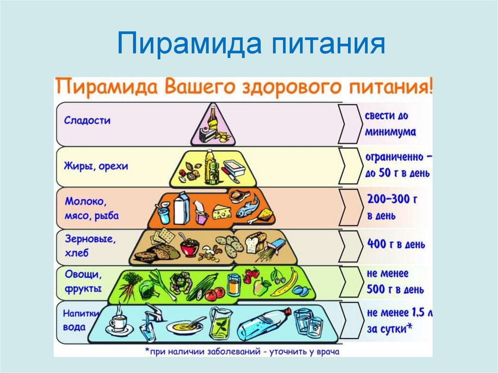 Пирамида питания