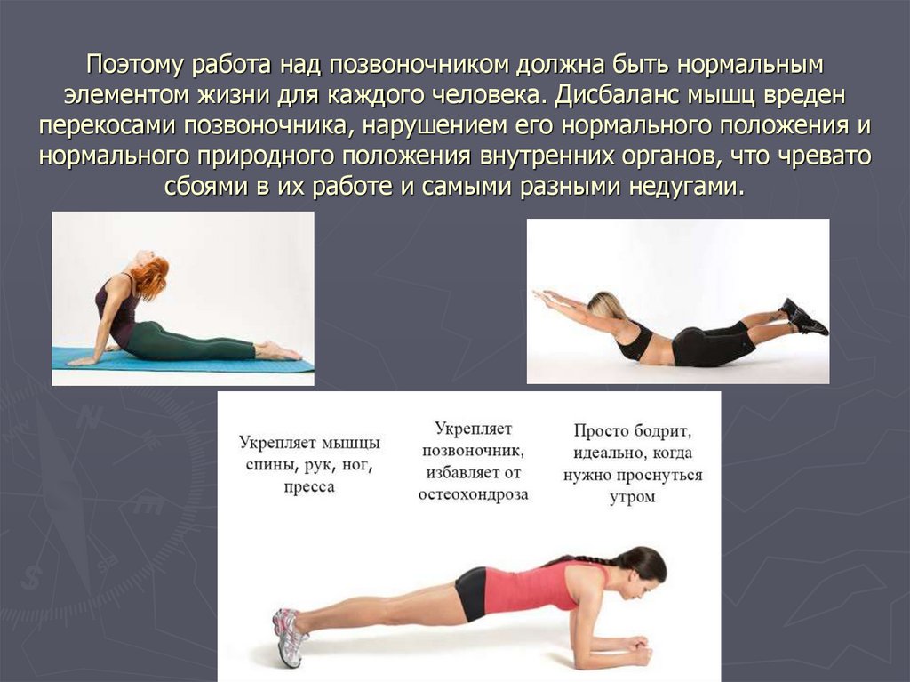 Длин поясница. Упражнения для укрепления мышц. Упражнения для укрепления мышц позвоночника. Упражнения на спину. Упражнения для укрепления мыш.