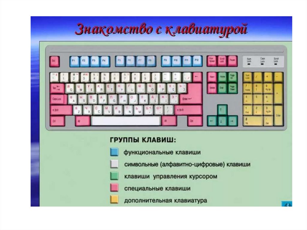 К какой группе относится каждая из следующих клавиш. Клавиатура компьютера по информатике. Ввод информации в память компьютера клавиатура группы клавиш. Функциональные клавиши. Ввод информации в память компьютера клавиатура.