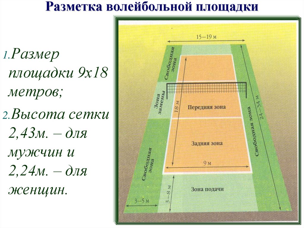 Схема волейбольного поля