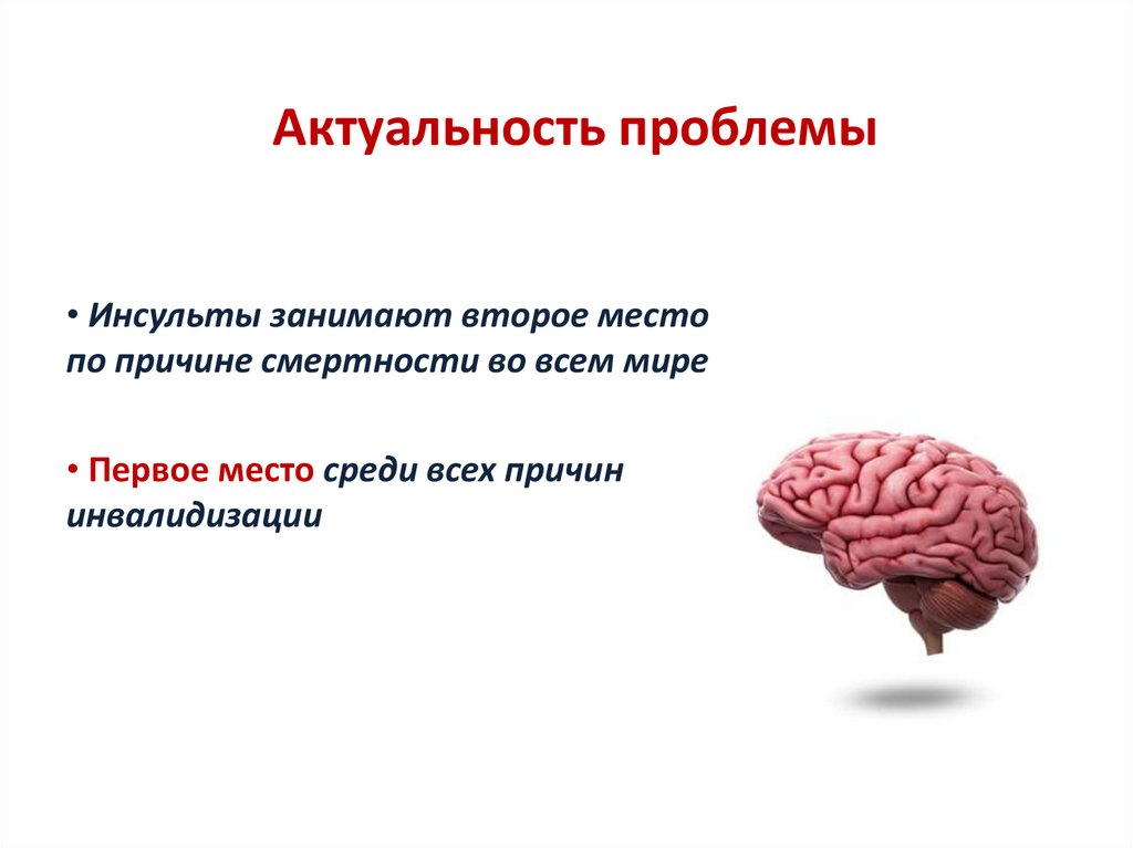 Принципы деятельности мозга
