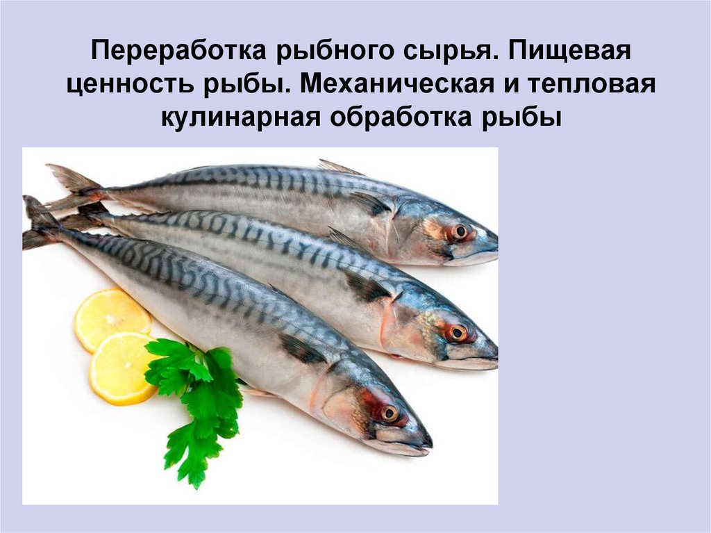Организация обработки рыбы. Тепловая кулинарная обработка рыбы. Механическая и тепловая кулинарная обработка рыбы. Пищевая ценность рыбного сырья. Рыбное сырье.