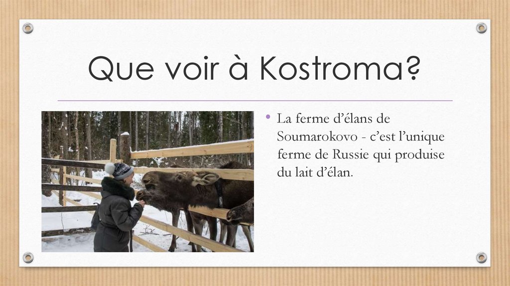 Que voir à Kostroma?