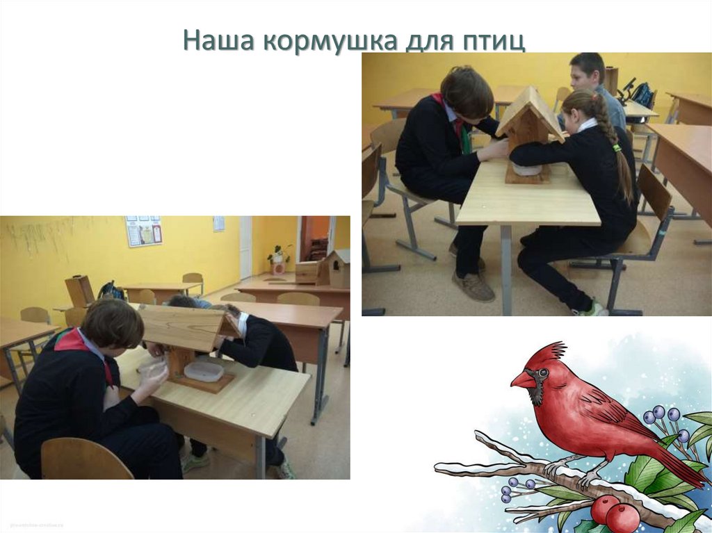 Наша кормушка для птиц