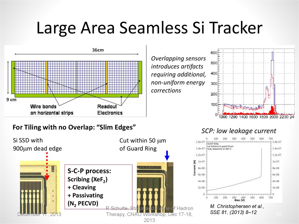 Large Area Seamless Si Tracker