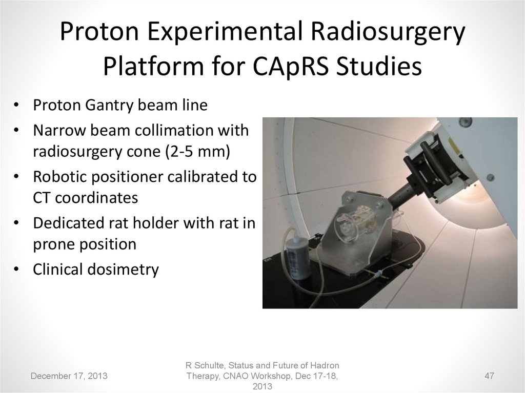 Proton Experimental Radiosurgery Platform for CApRS Studies