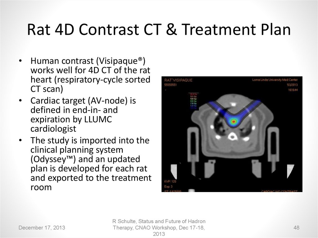 Rat 4D Contrast CT & Treatment Plan