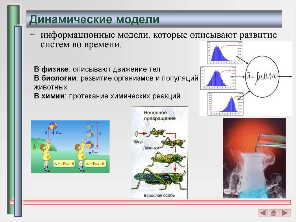 Динамические изображения это