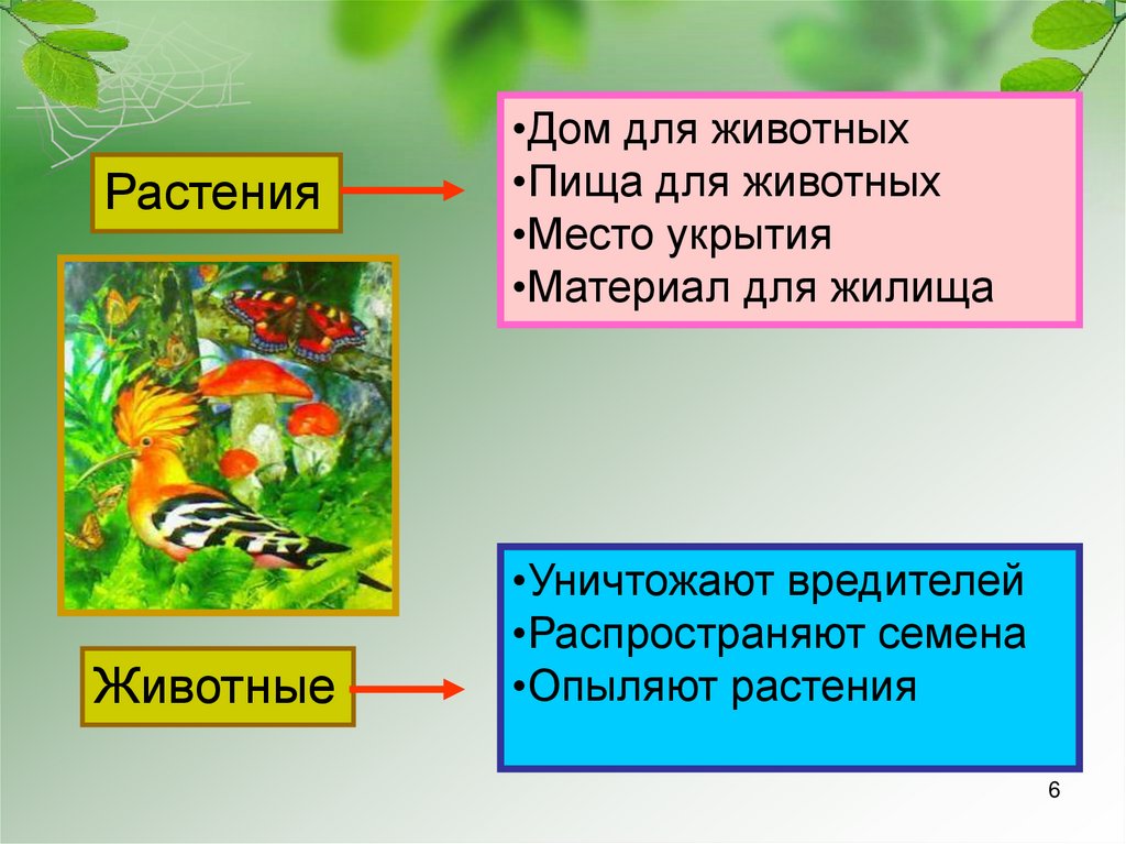 Невидимые нити 2 класс окружающий. Невидимые нити между растениями и животными. Взаимосвязь растений и животных. Невидимые нити окружающий мир. Неневидеммые нити в весеннем лесу.