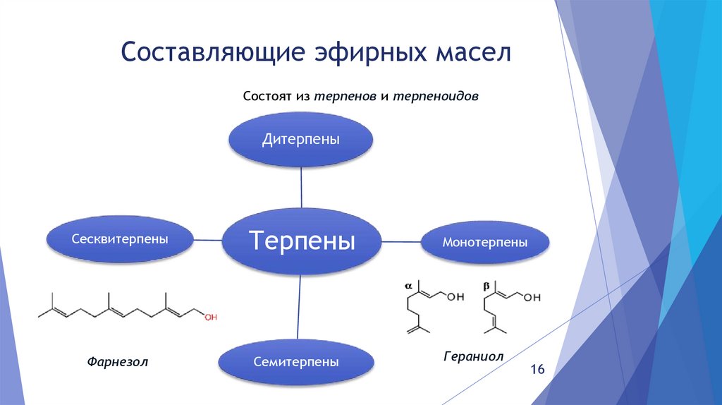 Составляющие эфирных масел