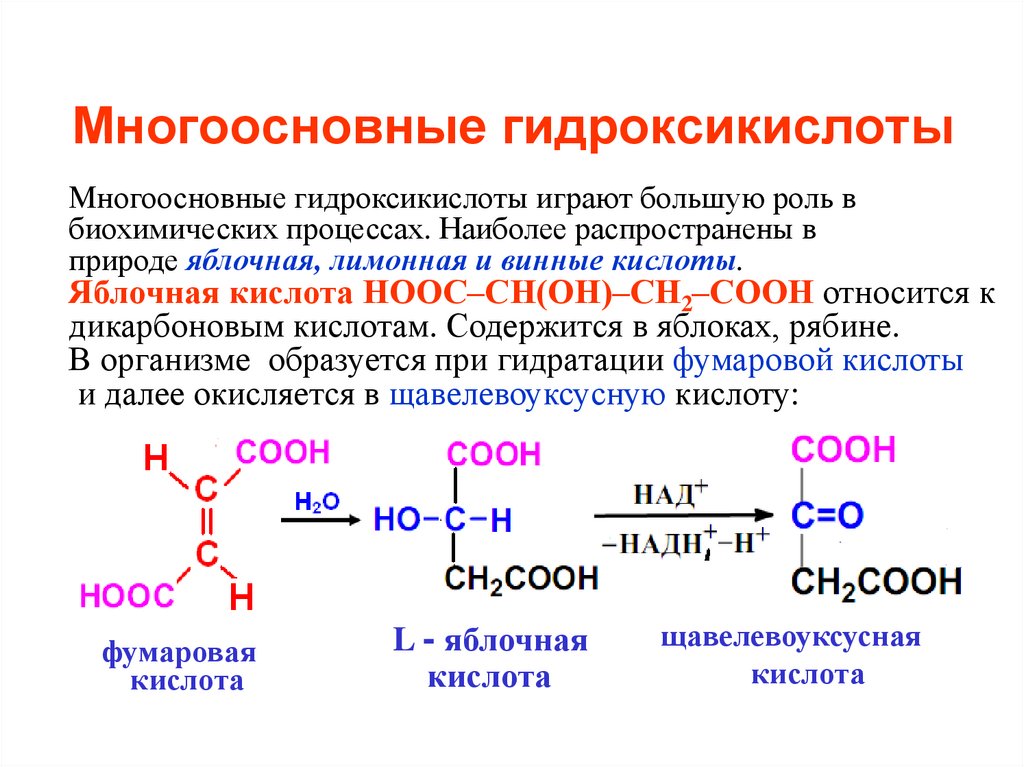 Кислоты одноосновные кислоты многоосновные. Дегидратация бета гидроксикислот. Многоосновные гидроксикислоты. Окисление гидроксикислот. Классификация гидроксикислот.