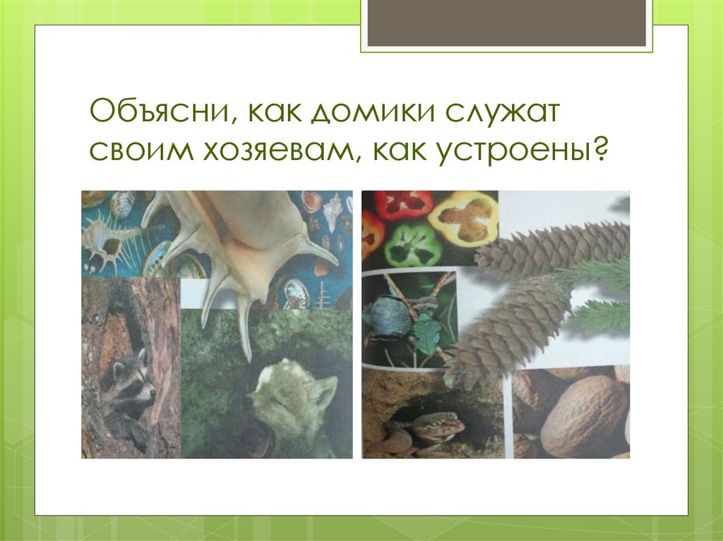 Домики которые построила природа конспект урока. Домики которые построила природа. Домики которые построила природа 1 класс. Домики которые построила природа изо 1 класс. Домики которые построила природа изо.