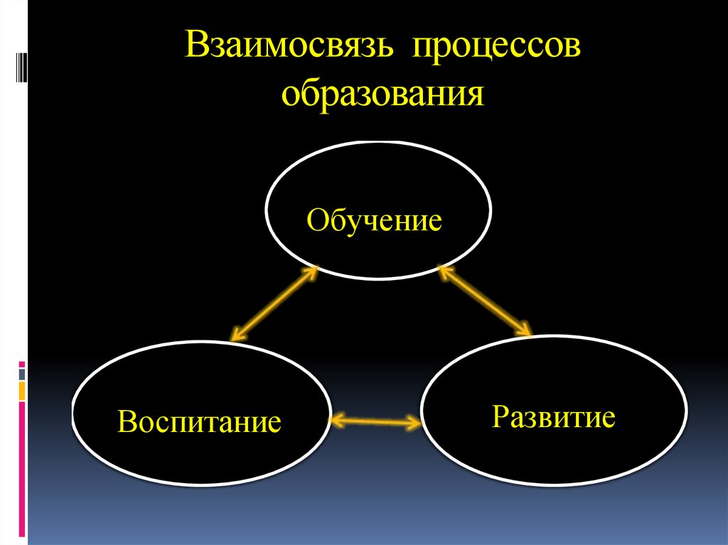Взаимосвязь процессов образования