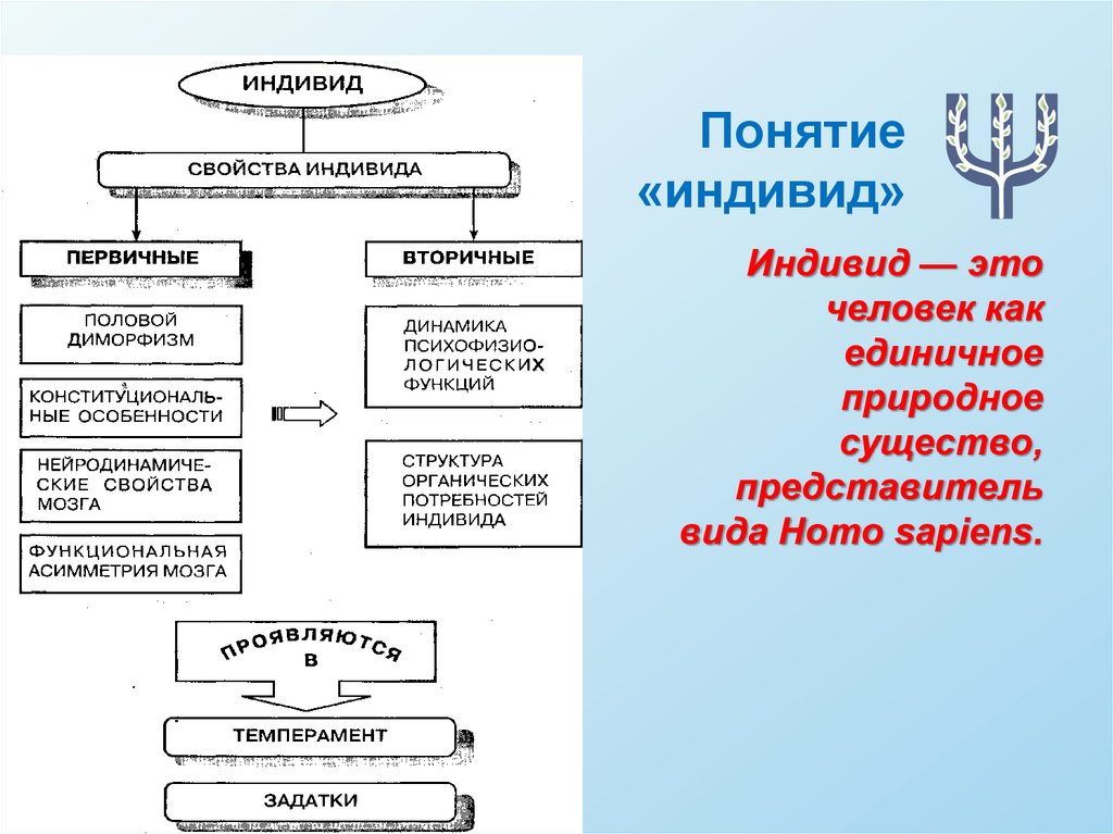 Самосознание индивида это