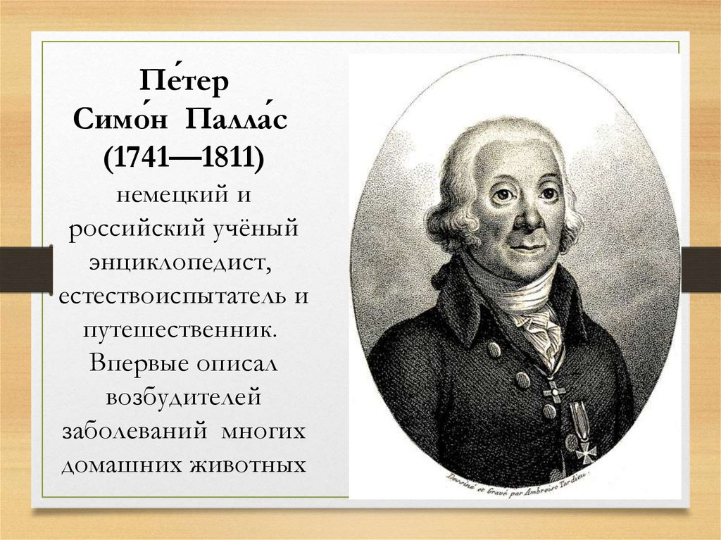 Паллас. Петер Симон Паллас (1741-1811). Петер Паллас ученый. Петер Симон Паллас 1741-1811 фото. Пётр Симон Паллас что открыл.