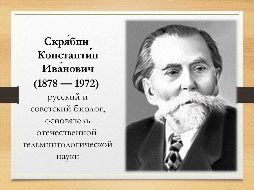 Академик скрябин фото Выдающиеся ученые-паразитологи - презентация онлайн