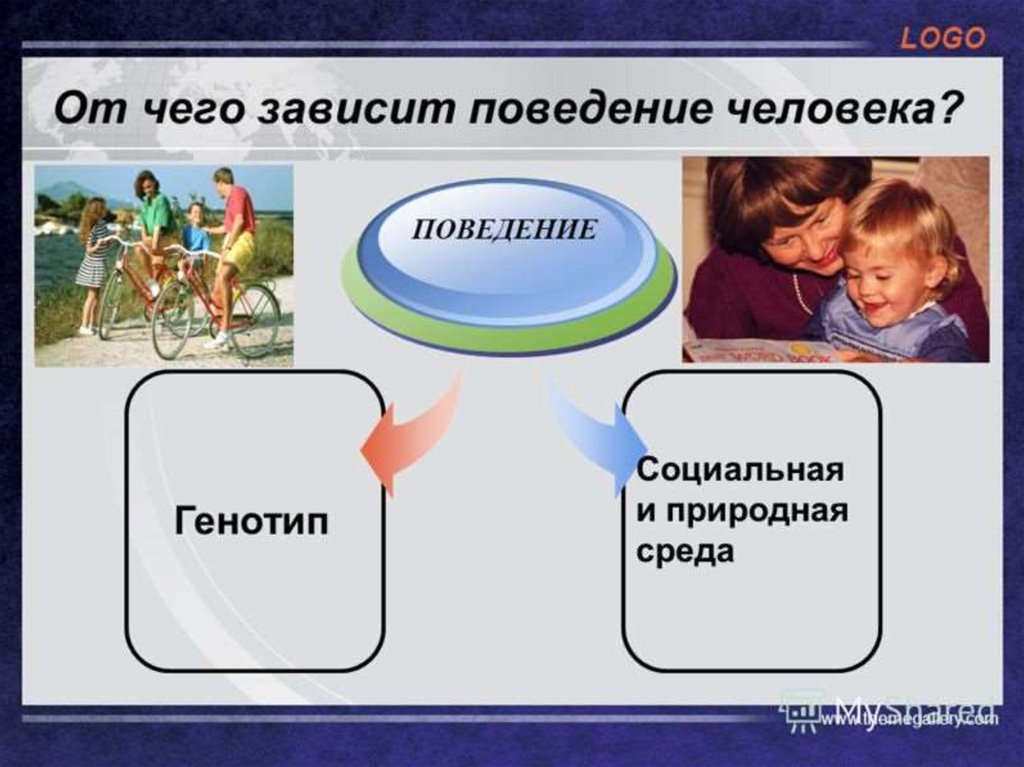 Генетика поведения презентация