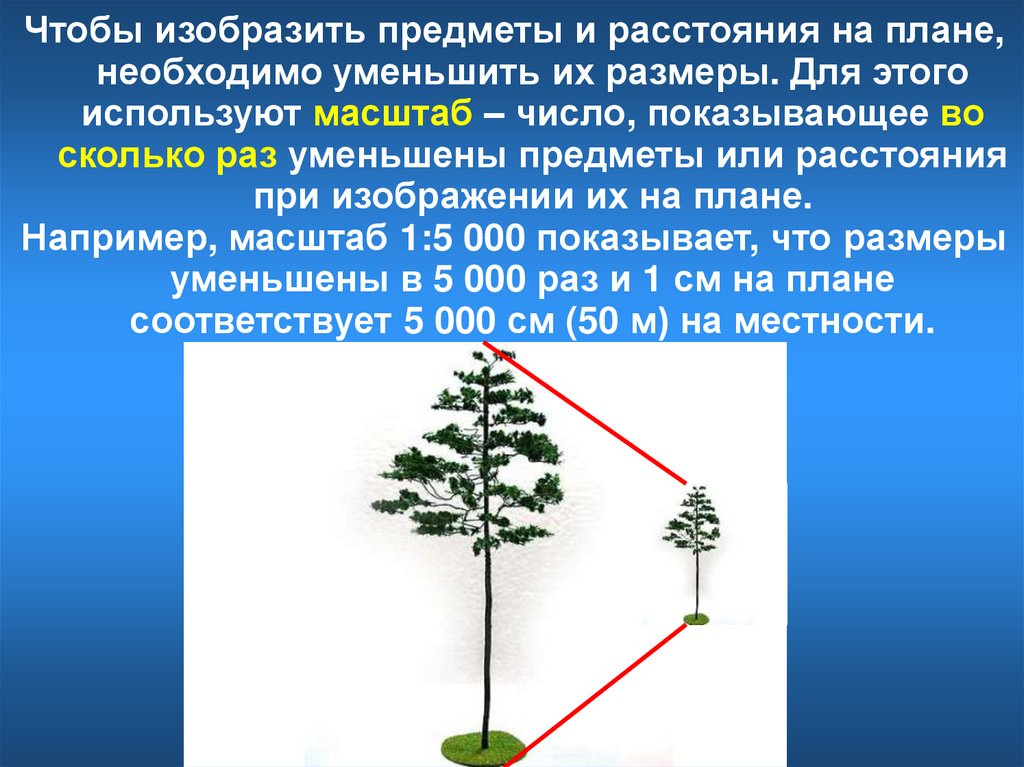 Изображать расстояние. Уменьшение предмета. Масштаб показывает во сколько уменьшены расстояния. Во сколько раз уменьшены расстояния на плане. Рисунки где размер объекта уменьшается.