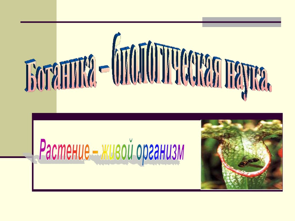 Уровни растений