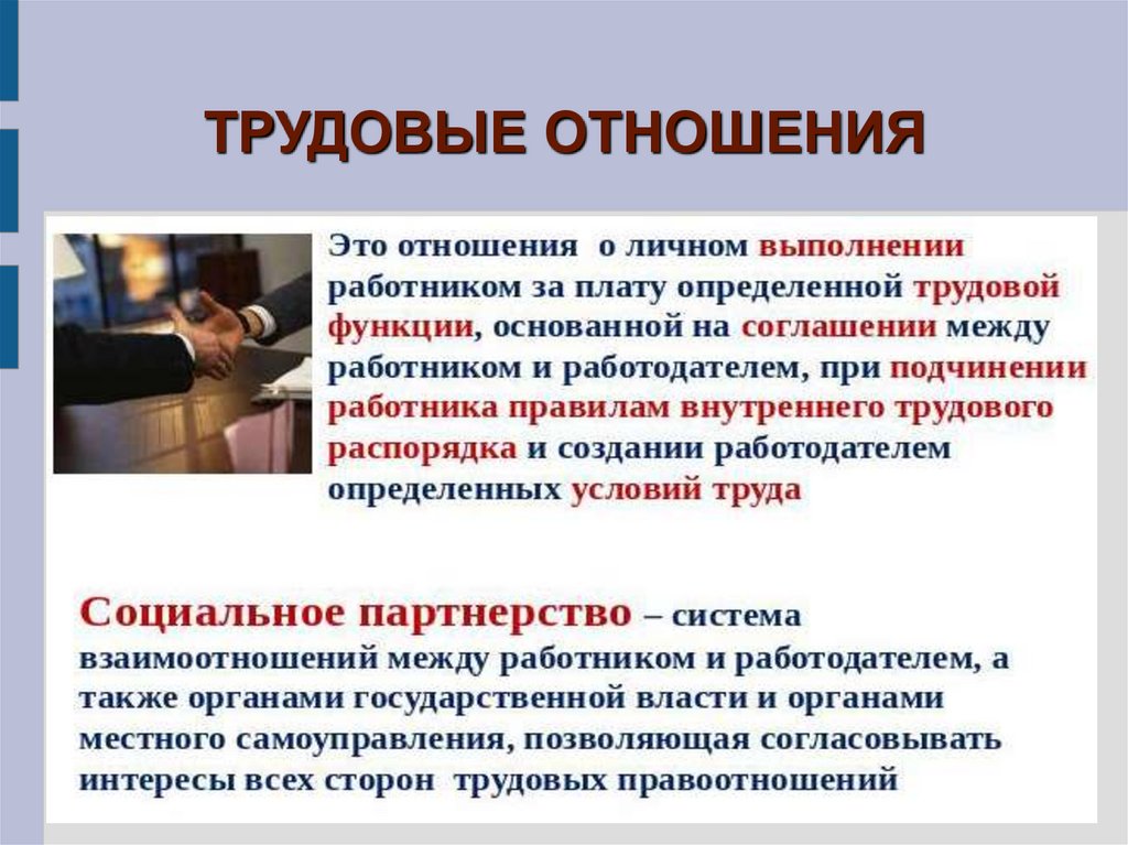 План основы трудовых правоотношений