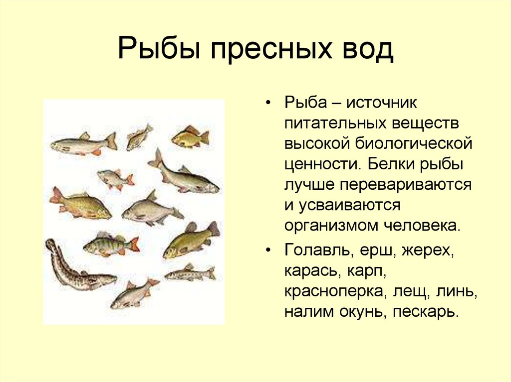 Рыбы пресных вод