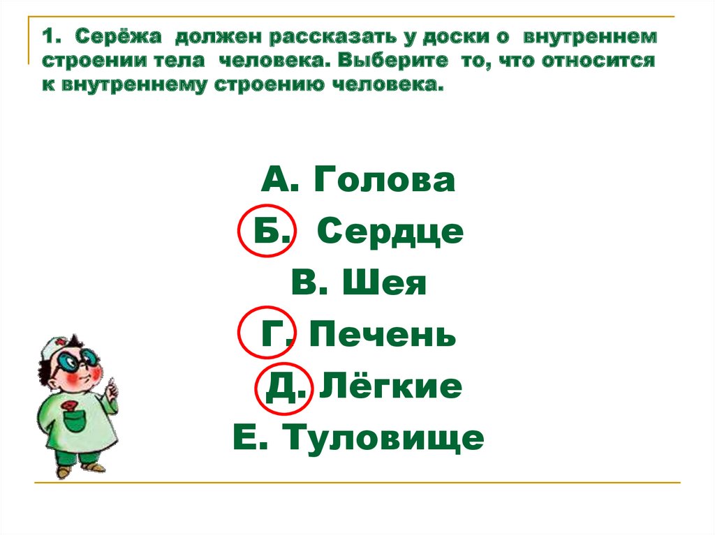 Используя рисунок 61 составьте план сообщения о внутреннем строении птиц