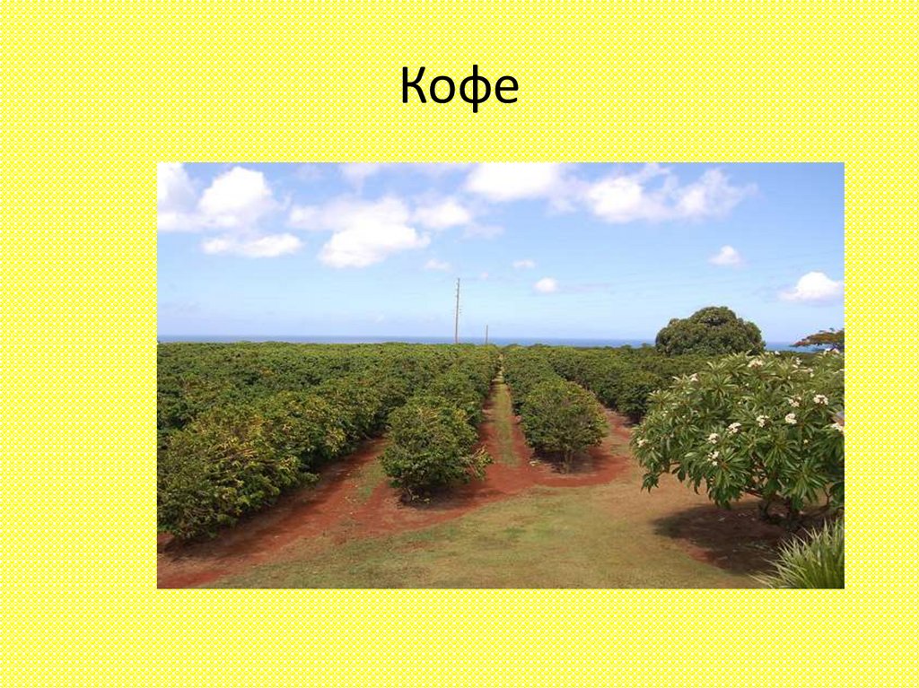 Кофе